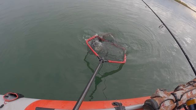 ШОК РЫБАЛКА!!! НА СПИННИНГ КЛЮНУЛА ОГРОМНАЯ РЫБА! Что было дальше?