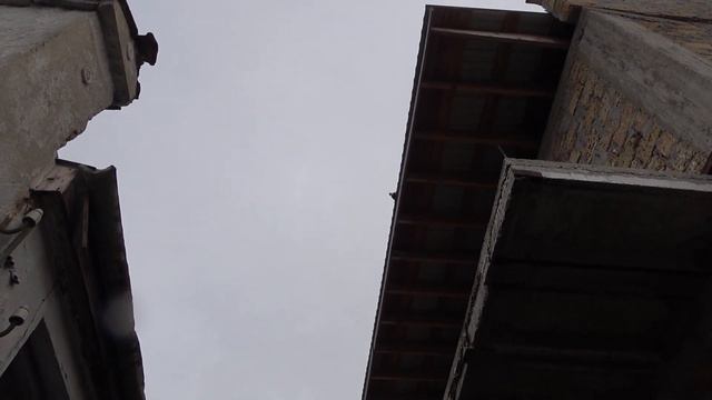 БОЙНЫЕ ГОЛУБИ В КРЫМУ Ленинаканские голуби самые лучшие!Армянские голуби ) смотреть онлайн