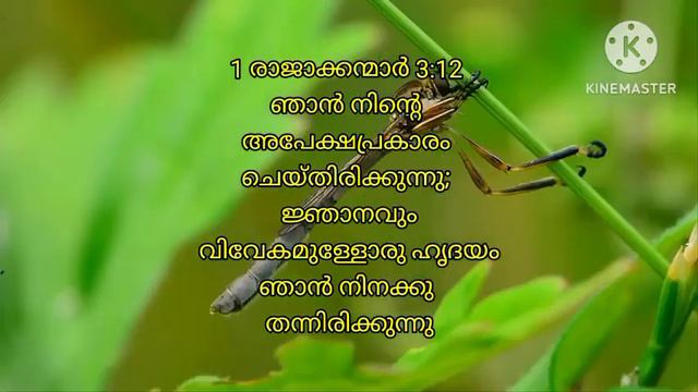 1 രാജാക്കന്മാർ 3:12 /റോമർ 8:27 (27/2/2024) смотреть онлайн