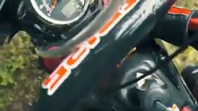 Обзор мотоцикла Ирбис Ттр-125 смотреть онлайн