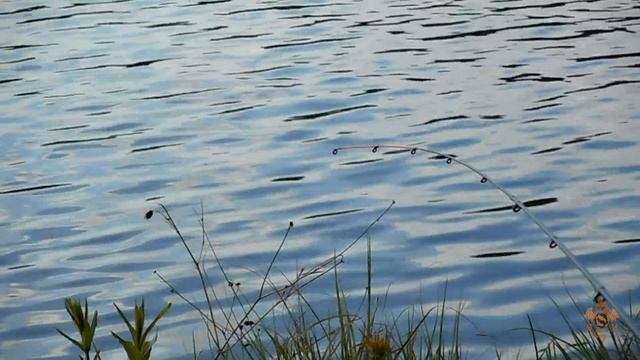 Ловля плотвы на озере, на пикер Волжанка Оптима 3.0м 25+ смотреть онлайн