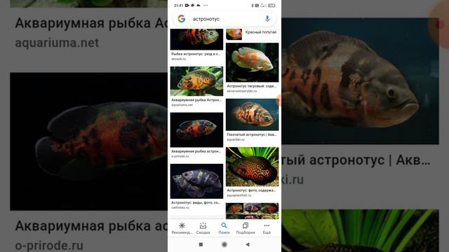 топ 15 рыбок для пруда смотреть онлайн