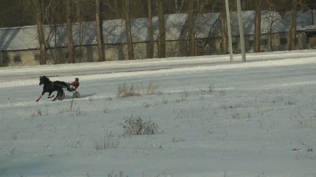 14.01.2023 г. 1-й заезд 3-х лет Приз в честь открытия бегового сезона смотреть онлайн