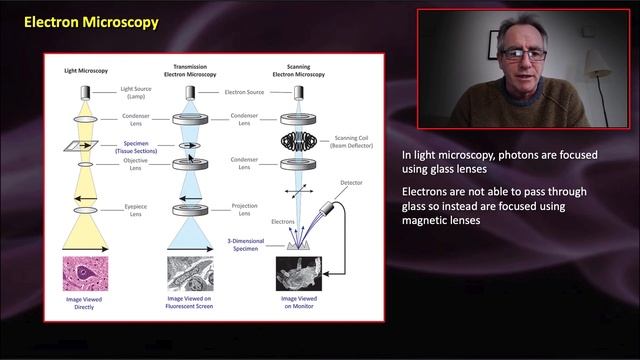 Microscopy - Part 4 - Super resolution, image analysis, and electron microscopy смотреть онлайн