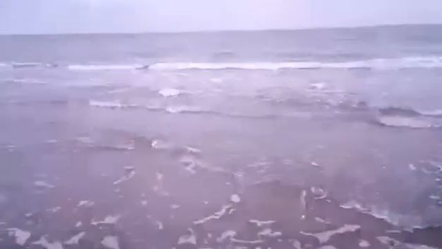 Вася бриллиант калининградский купается в Балтийском море. Январь 2018 смотреть онлайн