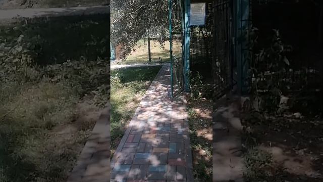 ТУРБАЗА СОЛНЕЧНЫЙ ОСТРОВ смотреть онлайн