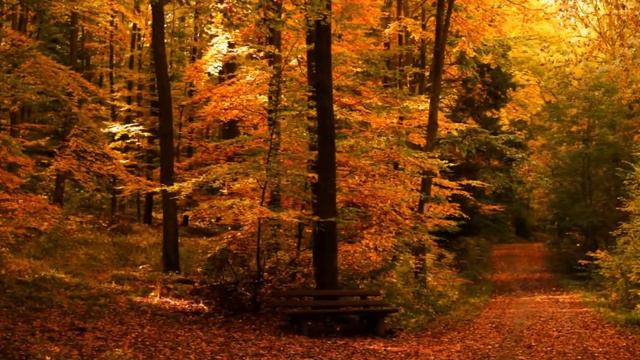 RED AUTUMN