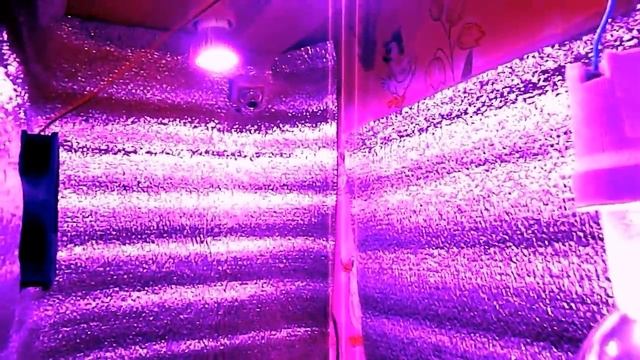 Теплица в НАСТЕННОМ ШКАФУ смотреть онлайн