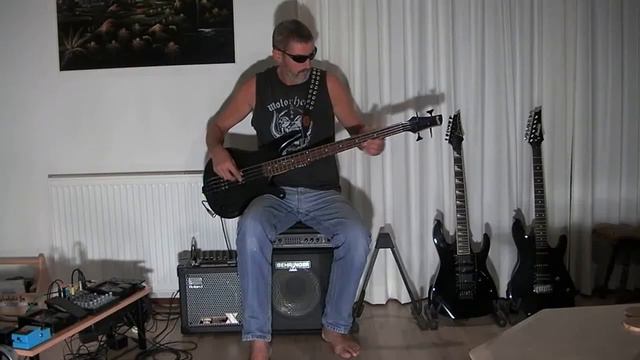 Skate or die - Teenage Bottlerocket, bass cover смотреть онлайн