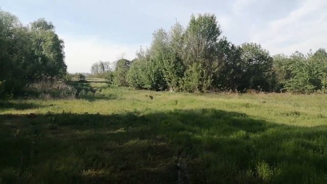 Как сберечь и приумножить деньги. смотреть онлайн