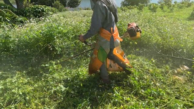 Stihl FS250 #stihl #fs250