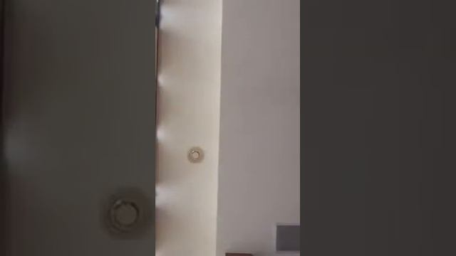 Эрик Давидыч.Periscope.Давидыч:"Audi придумали жадные люди" смотреть онлайн