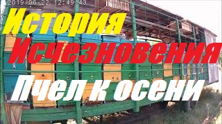 Причина ослабления пчелосемей осенью.Результат изоляции маток.Пасека Курила. смотреть онлайн