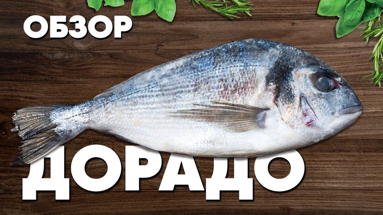 Обзор Дорадо. Как выбрать и разделать рыбу? Разделка рыбы Дорадо на филе
