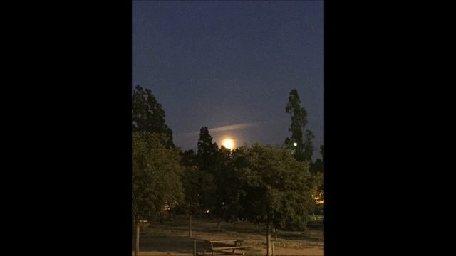 Free - Instrumental Base De Rap - Murria - Pistas Rap Latino