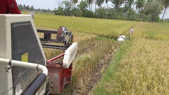 Recording while riding bimo 102 feels strong vibrations, sophisticated rice harvesting machines смотреть онлайн