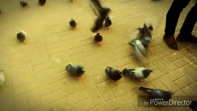 Найти выход... ЛЮДЯМ ЛЮДЕЙ НЕ ЖАЛЬ смотреть онлайн