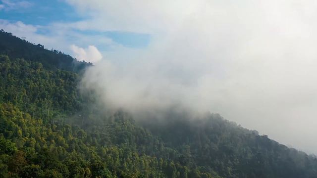 Тибетские поющие чаши - музыка для медитации смотреть онлайн