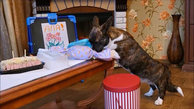 Поздравляем с Днем рождения нашу любимую, солнечную Алю! смотреть онлайн