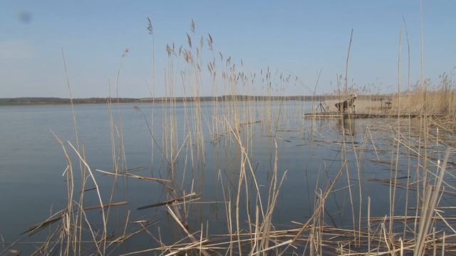Тренировка команды ТРАПЕР Россия. смотреть онлайн
