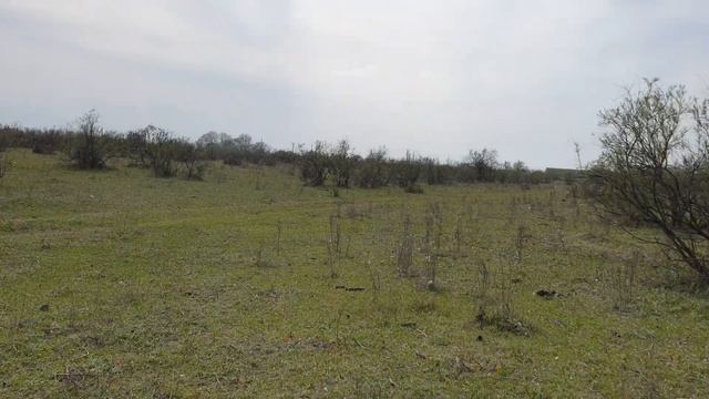 Отдых на природе, горы, реки ,море , Дагестан, смотреть онлайн