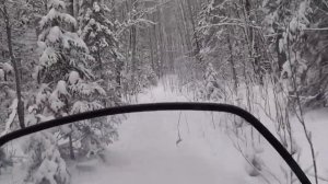 Охота | На зимовье