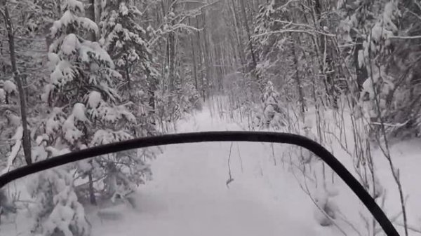 Охота | На зимовье