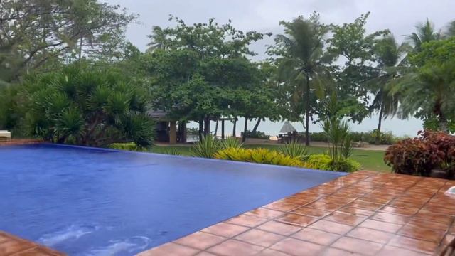 Blue Agave San Remegio смотреть онлайн