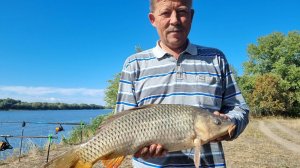 Ловля сазана на Дону осенью.