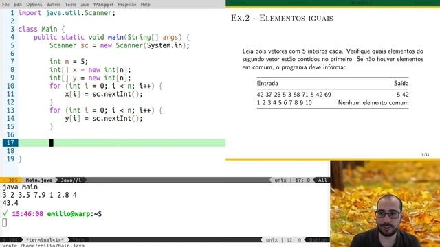 Vídeo 06.0 - UFABC - PI (20.Q1) - Arrays (Vetores) - Aula Prática смотреть онлайн