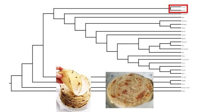 Birds are Dinosaurs - How Taxonomy Works смотреть онлайн