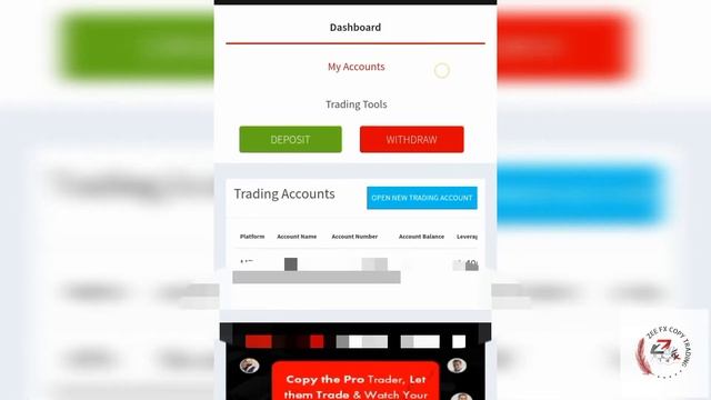 How to register and Create your account with Xtream Broker #ZeefxTraders #copytrading смотреть онлайн