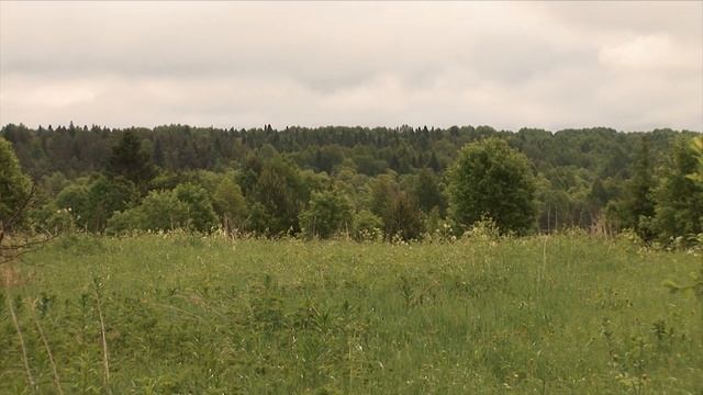 Sony FX1 | Summer Film | смотреть онлайн