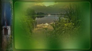 РОМАШКИ  -  бесплатный  проект для Прошоу  Продюсер