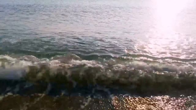 Хотели спасти Дельфина, оказалась Акула? смотреть онлайн