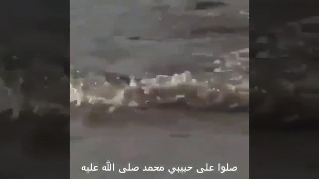 Антелопа ценной собственной жизни спасла своё дитя от КРОКОДИЛА! СубхьанаЛлах? смотреть онлайн