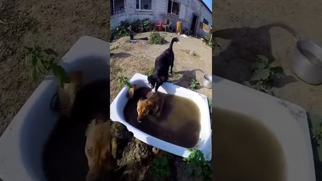 Забери меня домой 🙏 смотреть онлайн
