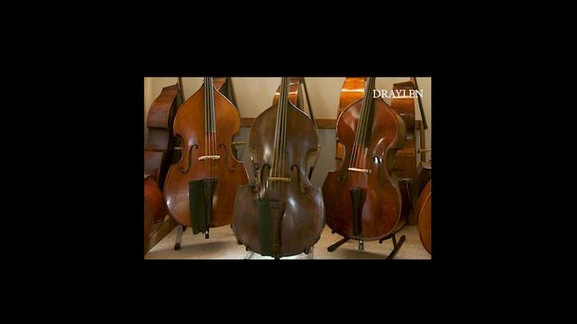 DRAYLEN смотреть онлайн