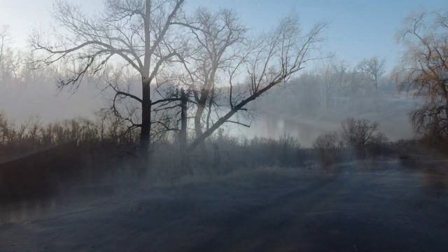 Рассвет в пойме. DJI Mini 2. 27.11.2021