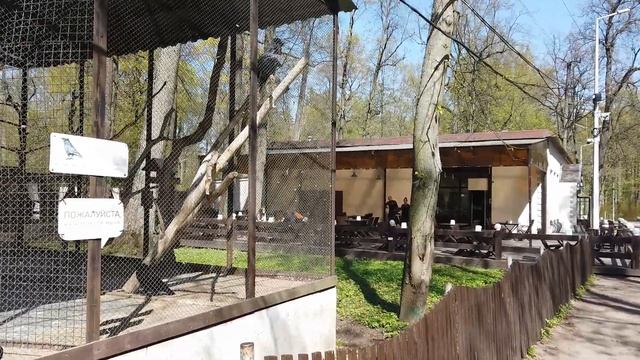 ЦПКиО - Елагин остров смотреть онлайн