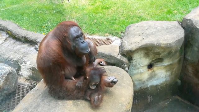 Мама и малыш Часть 2 смотреть онлайн