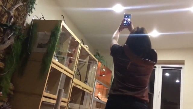 Змеи кайфуют со змеями ???? смотреть онлайн