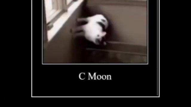 c-moon cat | revamped смотреть онлайн