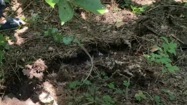 Очередной поиск металла на МД 4030P. смотреть онлайн