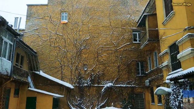 ОДЕССУ ЗАМЕТАЕТ❗СНЕГ В ОДЕССЕ❗ЗИМНИЙ ГОРОД❗25 января 2022❗#одесса #odessa #снег #зима2022 смотреть онлайн