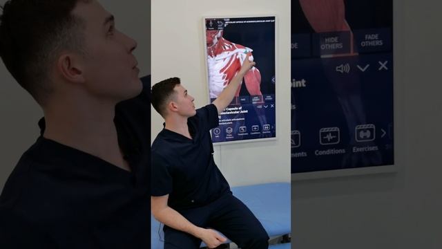 ДВА УПРАЖНЕНИЯ ДЛЯ ПОДВИЖНОСТИ ЛОПАТОК и здоровья плеча смотреть онлайн