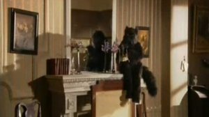 Мастер и Маргарита - кот Бегемот против НКВД