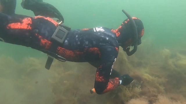 Scuba Tector Pro Testing