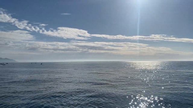 Геленджик сегодня 02.01.2021 смотреть онлайн