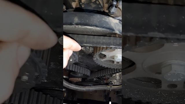 Correia Dentada Peugeot 308 1.6 16v